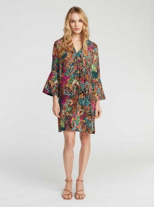 Robert Graham Brenna Dress Multi | 08629LSEH