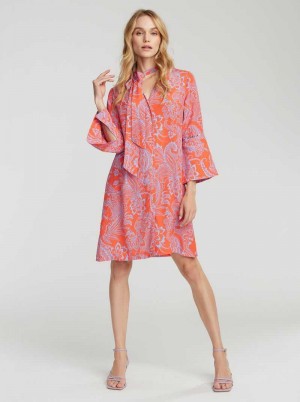 Robert Graham Brenna Dress Pink | 84926UZHC