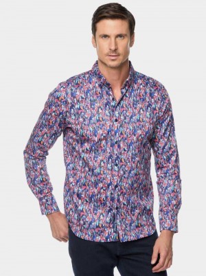 Robert Graham Brighton Long Sleeve Button Down Shirt Multi | 64157IMUH