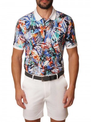 Robert Graham Flores Polo Multi | 40698TNVR