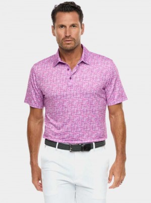 Robert Graham Iron Play Knit Polo Berry | 03156ASPF