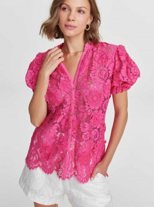 Robert Graham Mila Shirt Pink | 79532WJCY