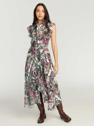 Robert Graham Sadie Dress Multi | 36104RSWH