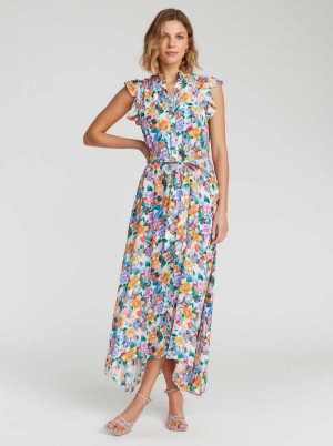 Robert Graham Sadie Dress Multi | 69731VDPY