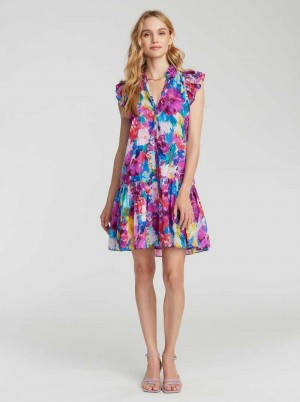 Robert Graham Savannah Dress Multi | 93210PBHE