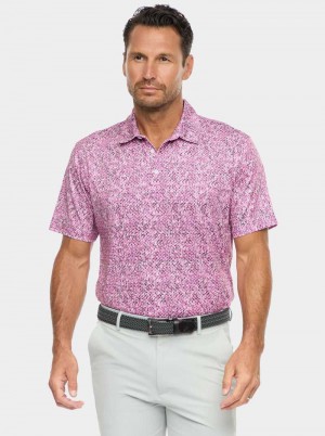 Robert Graham Torin Short Sleeve Knit Polo Navy | 05498TCLH