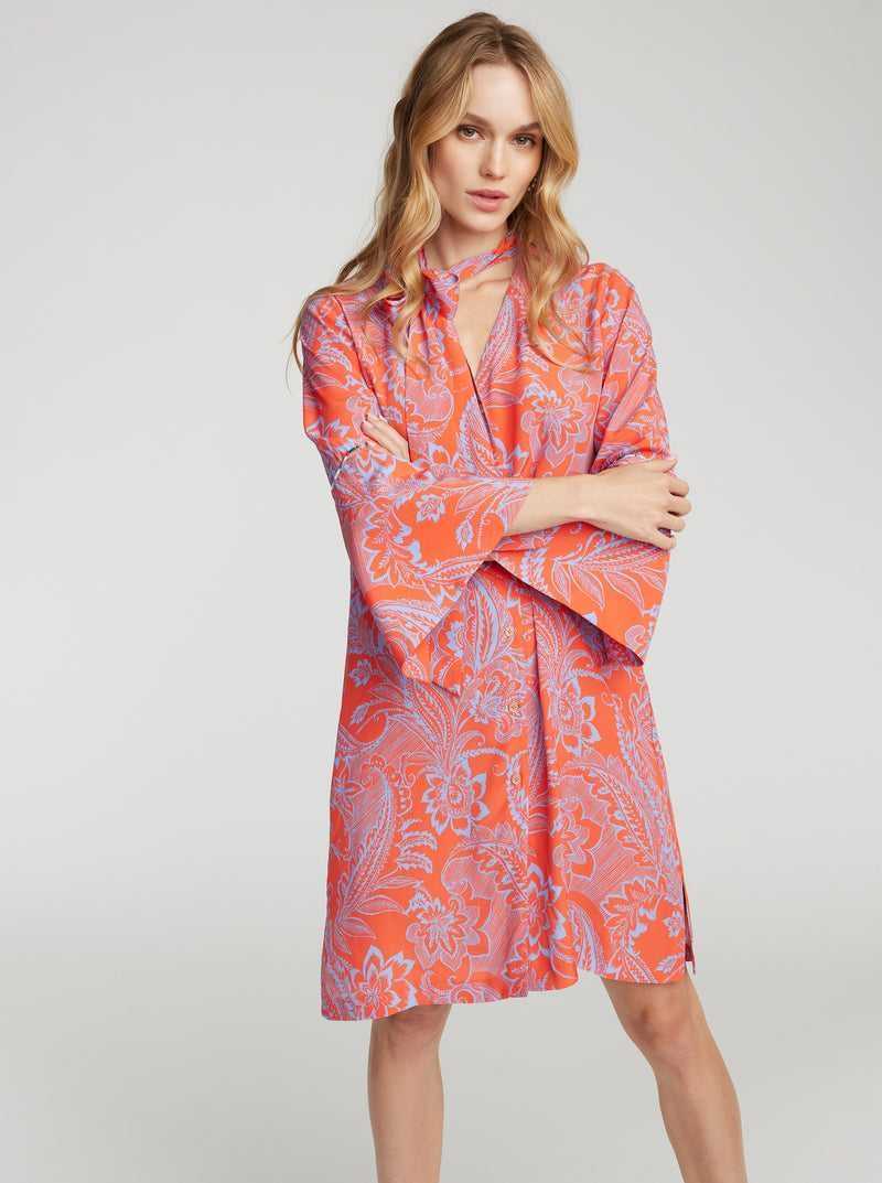 Robert Graham Brenna Dress Pink | 84926UZHC