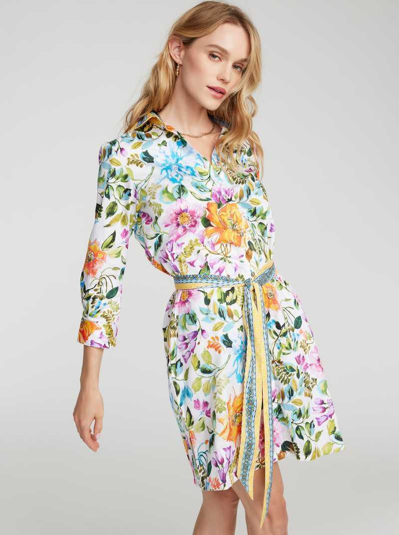 Robert Graham Haven Dress Multi | 12459PZXT