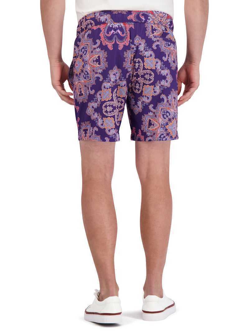 Robert Graham Loki Swim Purple | 49617CTMB