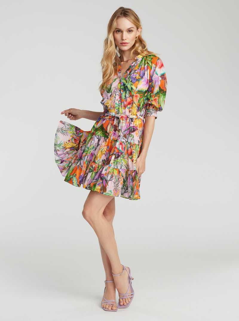 Robert Graham Sydney Dress Multi | 03641PTIM