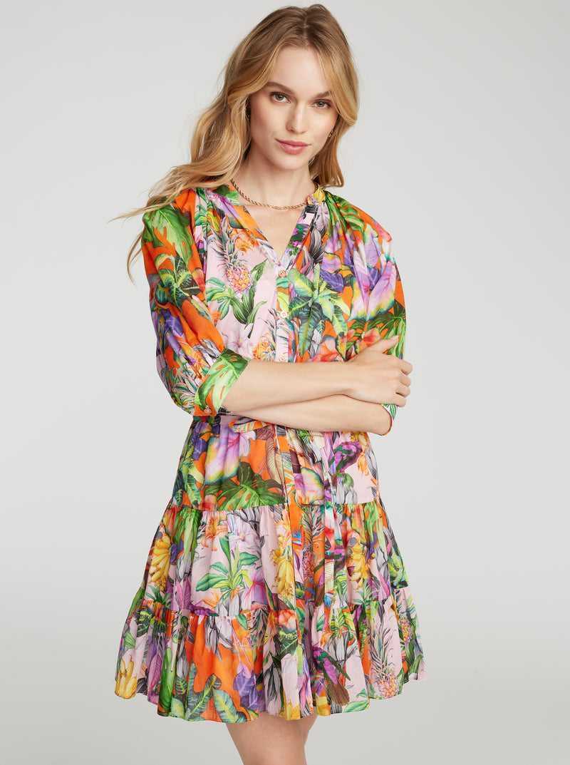 Robert Graham Sydney Dress Multi | 03641PTIM